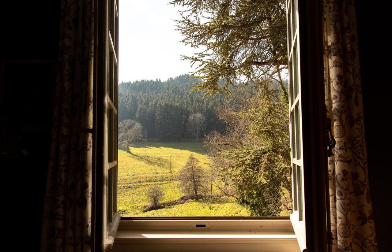Chateau De Pramenoux Lamure-sur-Azergues Buitenkant foto
